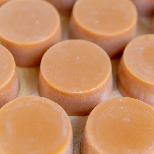 Wild Honey Solid Conditioner Bar